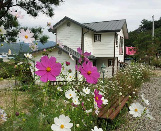 들꽃마당펜션 이미지