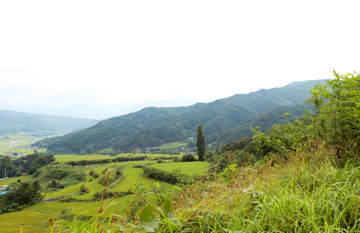 Barangsan Mountain / Soryongsan Mountain