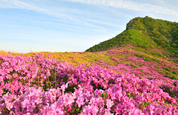 Hwangmaesan Mountain